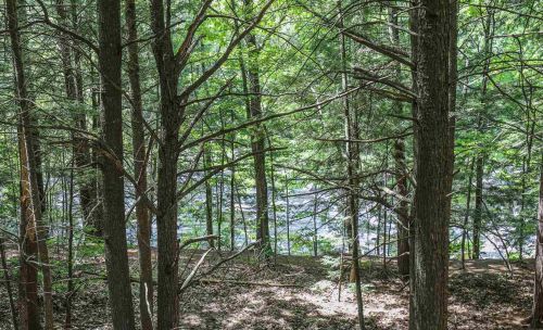 7 Whittaker Cir, Concord NH 03303-1589 exterior