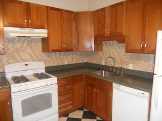 2616 Indiana Ave, Saint Louis MO  63118-1618 exterior