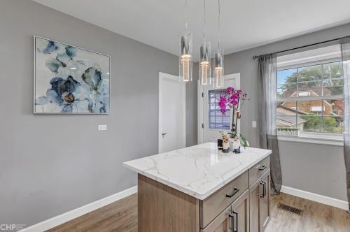 3337 Newcastle Ave, Chicago IL  60634-3752 exterior