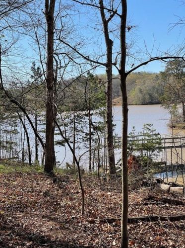 2464 Basin Dr, Gainesville GA 30506-1862 exterior