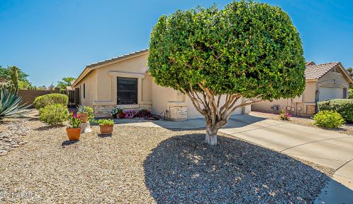 19819 34th Pl, Phoenix AZ  85050-7936 exterior