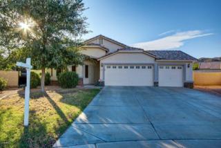 1739 Alicia Dr, Phoenix, AZ 85042-6832