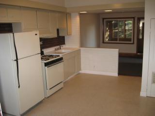 4411 Walton St, Chicago IL  60651-3464 exterior