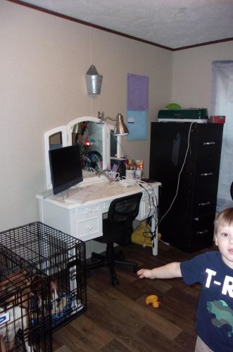 57 Laurel Ln, Defuniak Springs FL 32433-8823 exterior