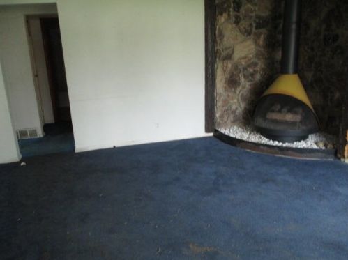 301 Blf St, Berrien Springs MI 49103-1202 exterior