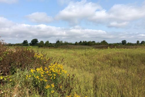 2521 64 St, Fennville MI 49408-9506 exterior