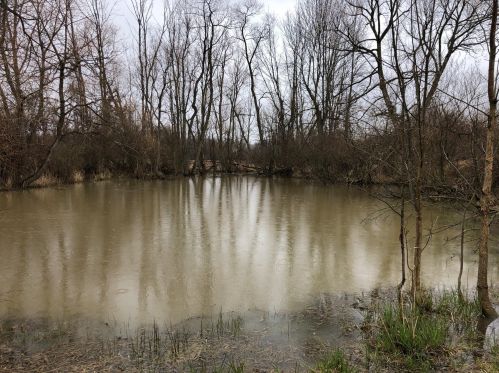 2521 64 St, Fennville MI 49408-9506 exterior