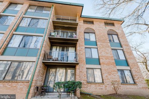 493 Armistead St, Alexandria VA 22312-2823 exterior