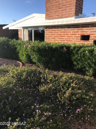 5517 Mabel St, Tucson AZ  85712-4919 exterior