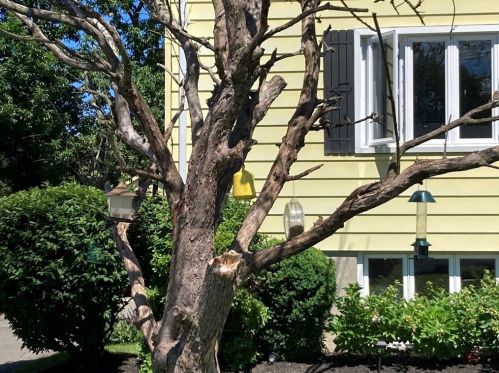 33 Elmwood Park, Quincy MA 02170-1138 exterior