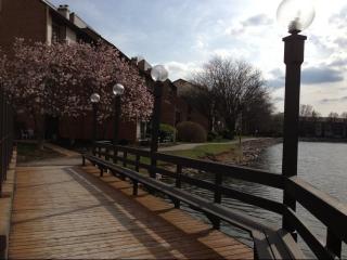 807 Cross Creek Dr, Saint Louis MO  63141-6507 exterior