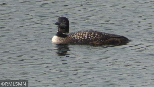 520 Glenbrook Ave, Saint Paul MN 55128-6505 exterior