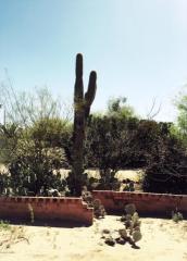 3204 Blacklidge Dr, Tucson, AZ 85716-1906