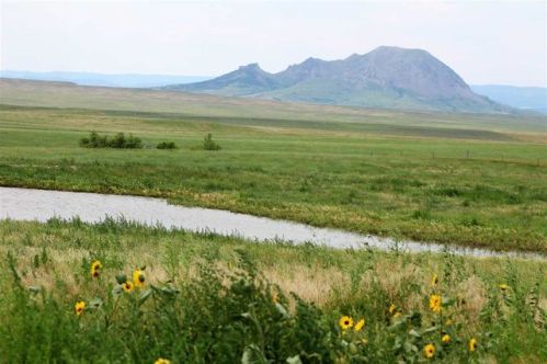 13395 194th St, Vale, SD 57788-6335