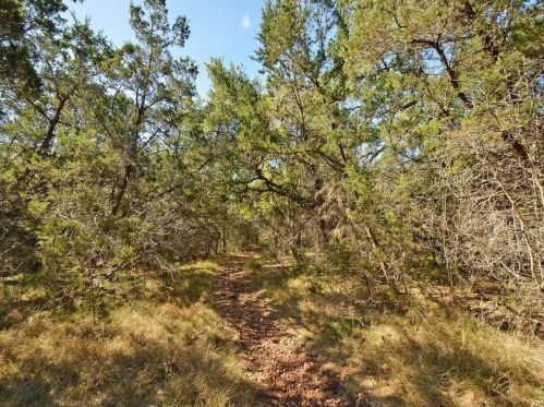 4520 Eagle Feather Dr, Austin TX 78735-6466 exterior