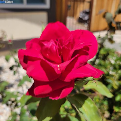 58 Spar Ct, Concord CA exterior