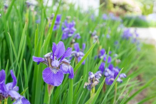 15 Packard Ave, Providence RI  02911-2780 exterior