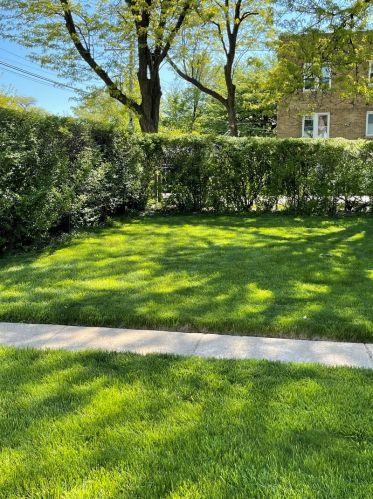 4404 Thomas St, Chicago IL 60651-3404 exterior