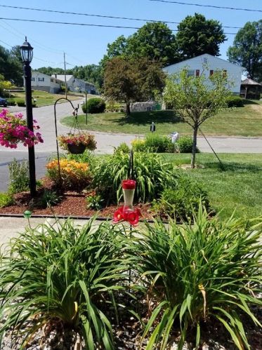 203 Murphy Ln, Chicopee MA 01020-4837 exterior