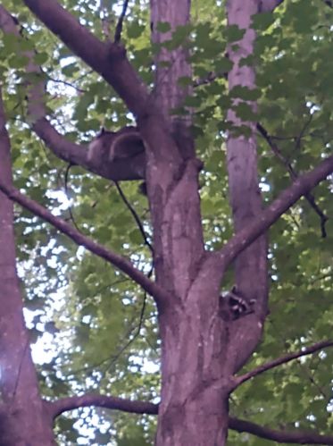 754 County Road 6, Stanford MN 55080-8018 exterior