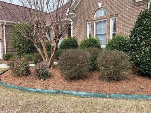 504 Hickory Leaf Ct, Lumberton NC 28358-2336 exterior