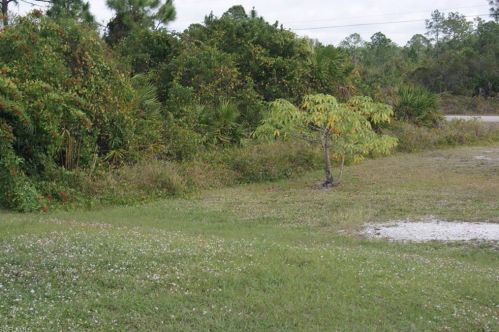 4859 22 St, Naples FL 34117-3658 exterior