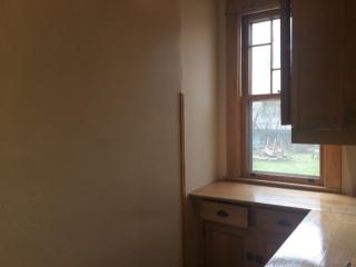 233 Mackubin St, Saint Paul MN  55102-1732 exterior