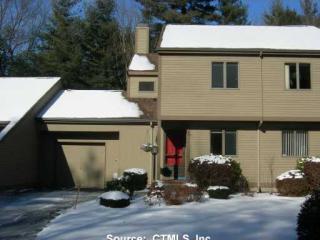 115 The Laurels, Enfield, CT 06082-2358