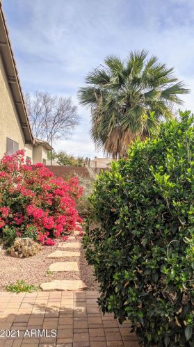 1926 Hawken Pl, Chandler AZ 85286-1288 exterior