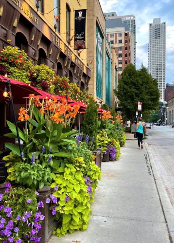 630 State St, Chicago IL  60605-1807 exterior