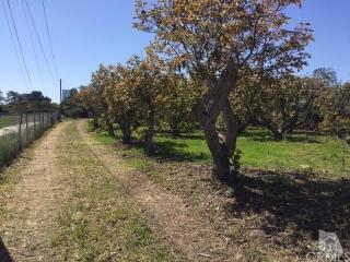 318 Collins St, Oxnard CA  93036-1601 exterior