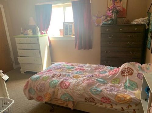 20461 Spruce Rd, Big Rapids MI 49307-9731 exterior