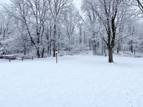 1822 Pheasant Ave, Grand Rapids, MI 49534-2324