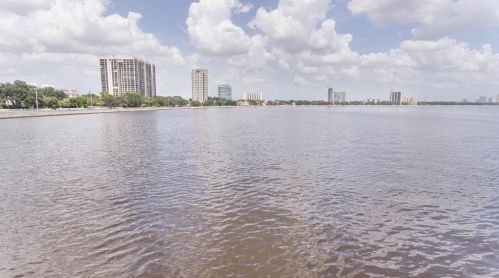 3401 Bayshore Blvd, Tampa FL  33629-8802 exterior