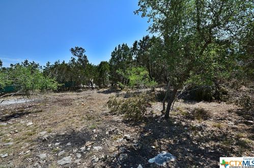 414 Line Camp Loop, Spring Branch, TX 78070-4501