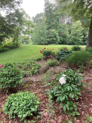 1811 Starr View Ln, Middlevle MI  49333-8066 exterior