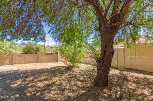 1329 Cholla St, Phoenix AZ 85029-3801 exterior
