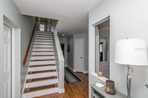 3816 Leona St, Tampa FL 33629-7824 exterior