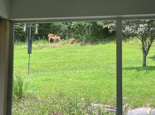 5533 Heather Bluff Ct, Saint Louis MO 63128-4130 exterior