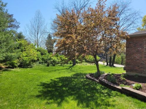 1 Crabapple Ct, Saint Louis MO 63132-3422 exterior