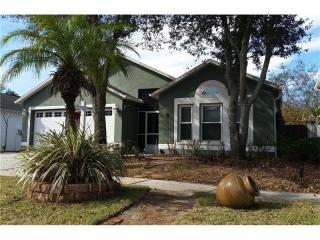 10531 Maronda Dr, Riverview, FL 33578-8394