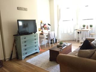 537 Beacon St, Boston MA  02215 exterior