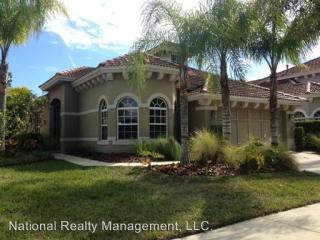 14610 Mirasol Manor Ct, Tampa FL  33626-3311 exterior