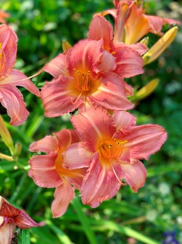 6024 Keating Ave, Chicago IL  60629-5410 exterior