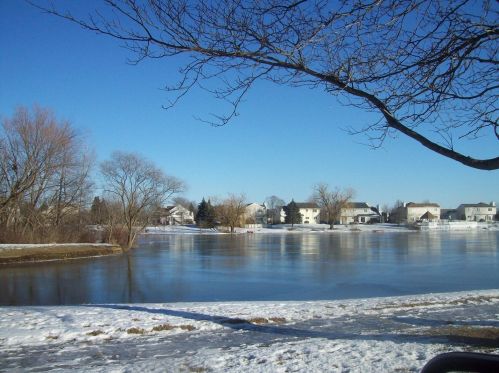 2325 Graystone Dr, Joliet IL 60431-8785 exterior