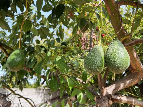 1401 Garland Ave, Tustin CA  92780-3821 exterior