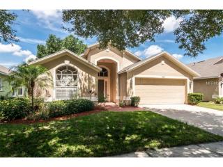 10141 Somersby Dr, Riverview, FL 33578-8331