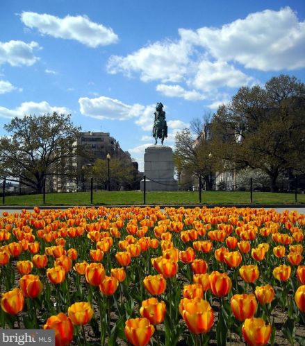 2425 L St, Washington DC  20037-2408 exterior