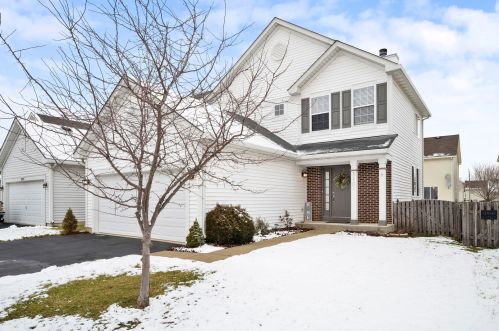 3101 Dan Ireland Dr, Joliet, IL 60435-9037