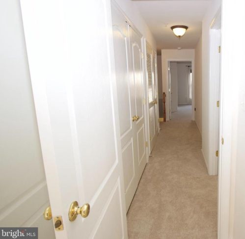 5082 Donovan Dr, Alexandria VA 22304-7755 exterior